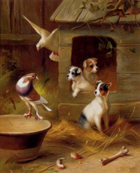 埃德加 亨特 Pigeons And Puppies